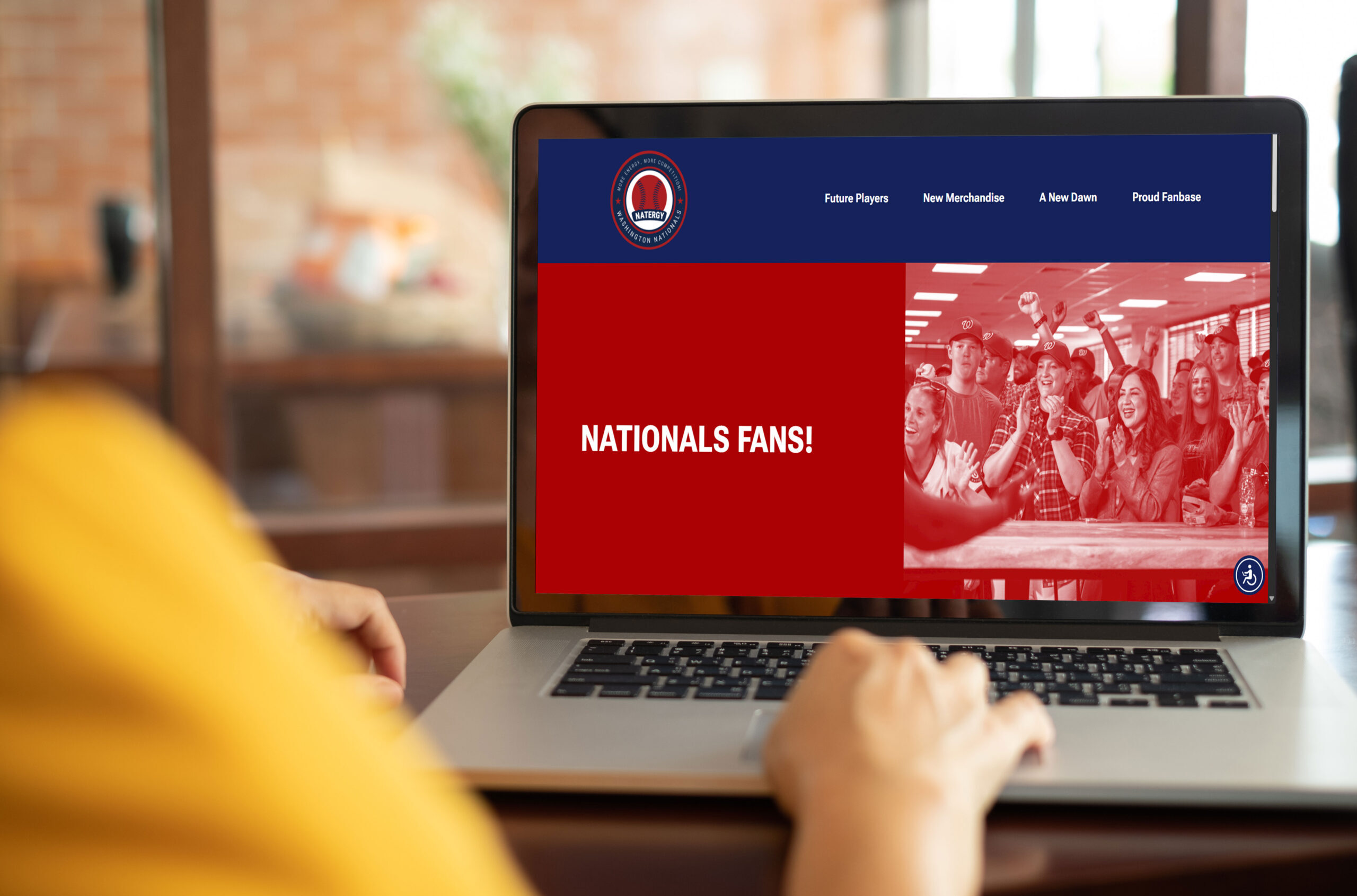 Click below to view the Washington Nationals "Netergy" Campaign site.